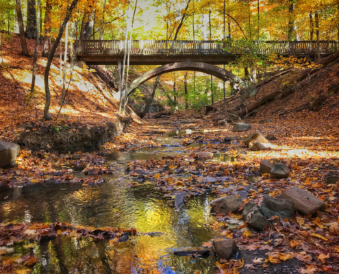 Highbanks Metro Park