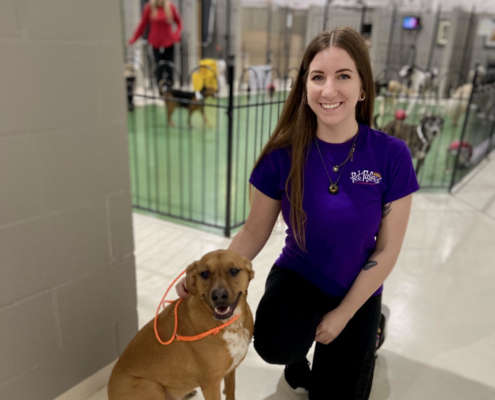 Pet Palace - Columbus