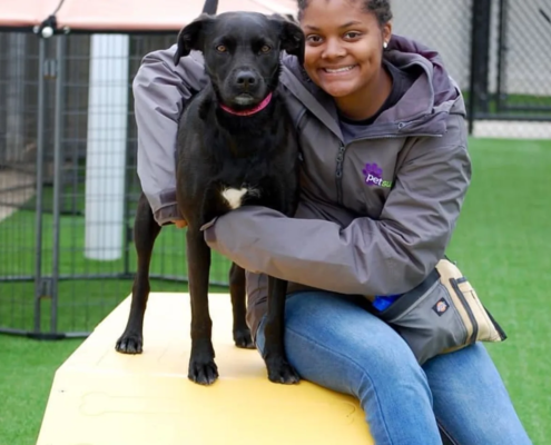 PetSuites Worthington